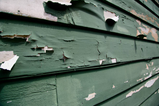 Best Commercial Junk Removal  in Dacula, GA