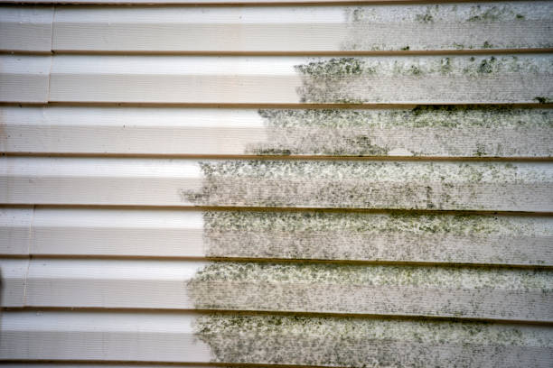 Best Carpet Removal and Disposal  in Dacula, GA